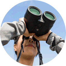 turismo_salvador_mexico_cdmx_villahermosa_cancun_agencia_de_viajes_economica_paris_turquia_colombia_canada_tailandia_costarica_orlando_caribe_costa_pacifica_europa_dubai_boletos_de_avion_vehiculos_transportacion_trenes_vuelos_economicos_camionetas_circuitos_locales_viajes_destinos_nacionales_destinos_internacionales_cruceros_hoteles_renta_de_autobuses_renta_de_van_calidad_servicio_servicios_turisticos_salvador